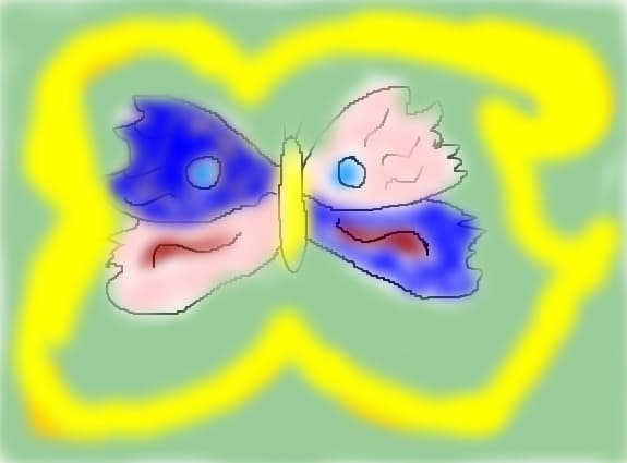 butterfly