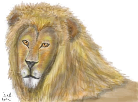 Lion
