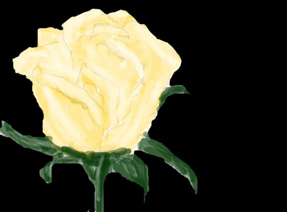 rose