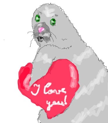 o foca