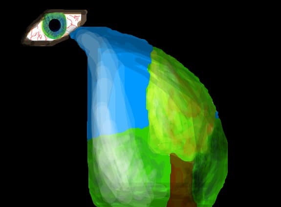 ECO