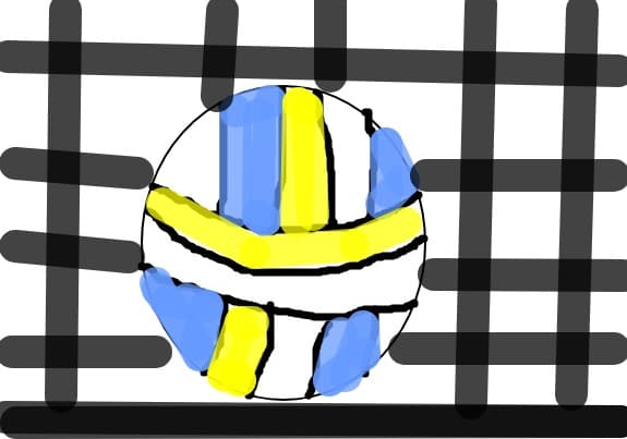 cn stie sa joace volei?