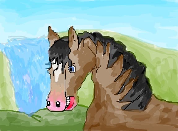cal horse