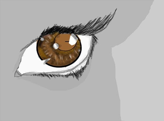 EYES