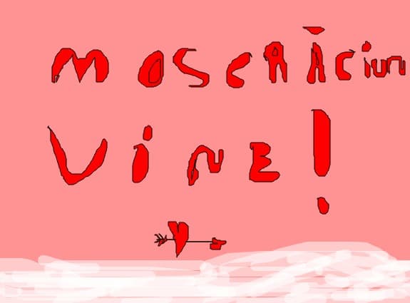 Mos Craciun vine!