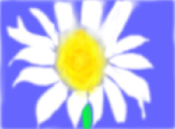 floarea pacii