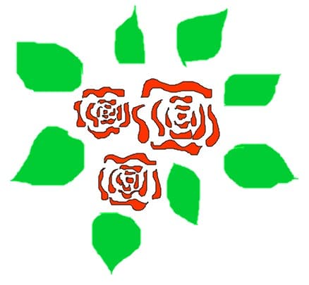 rose