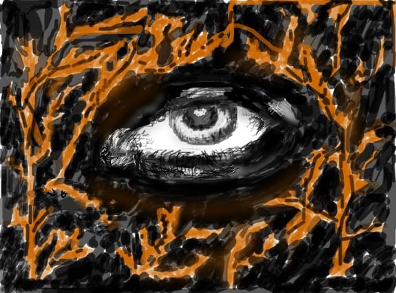 contraste