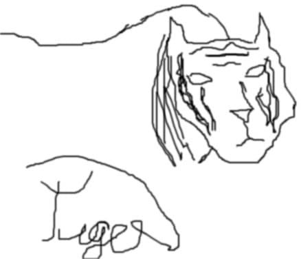 tiger