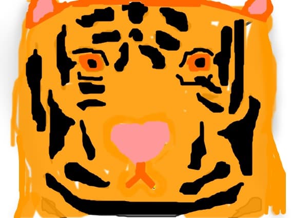 tiger