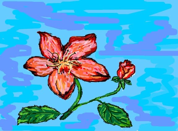 o floare