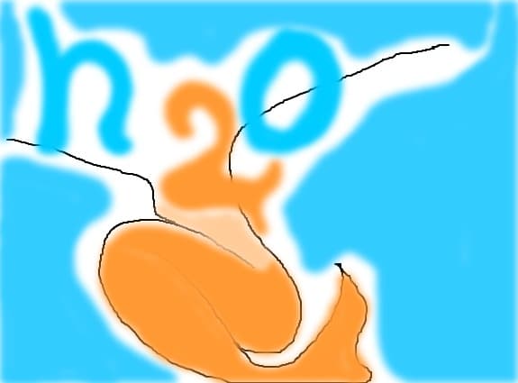 H2O