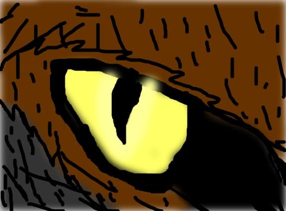 cat eye