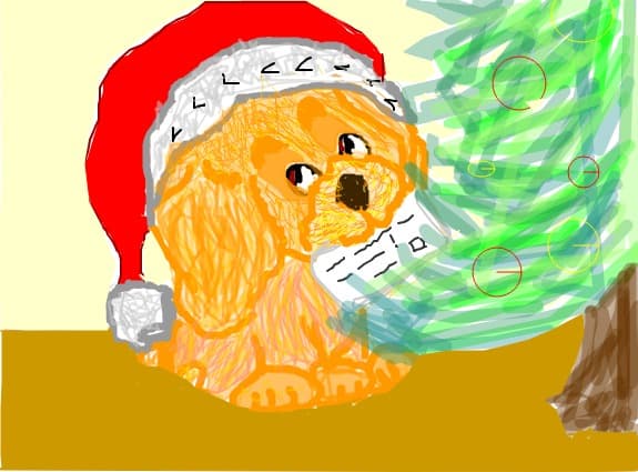 A letter fron North Pole