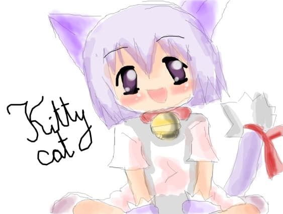 kitty cat