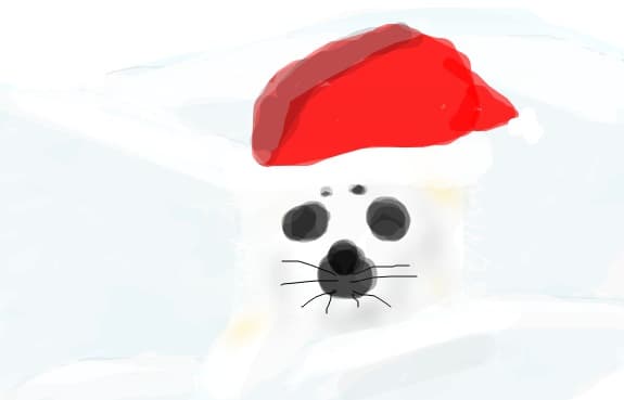 o foca  caci si la ea e iarna mai mereu