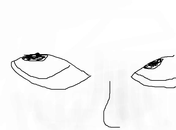 eyes