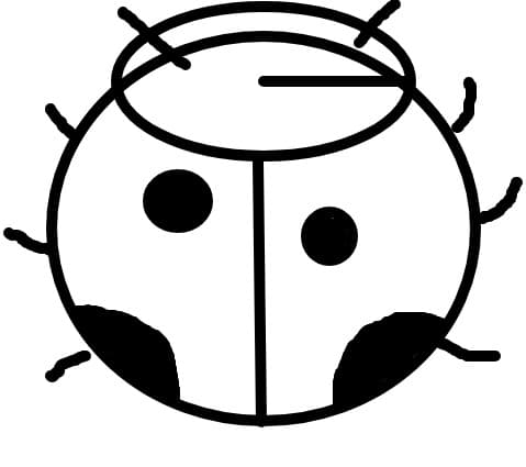 buburuza ruza