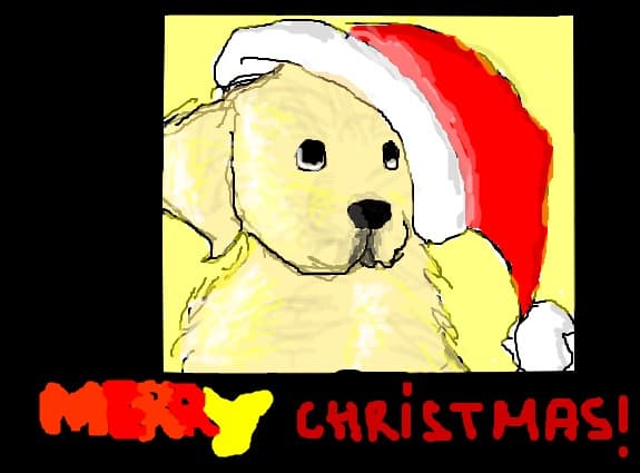 labrador