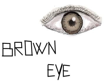 Brown Eye..