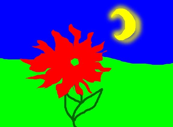 o floare