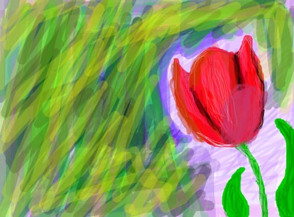 o floare