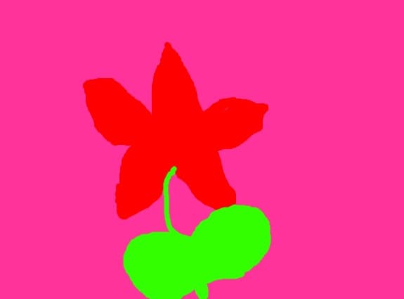 o floricica