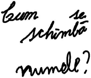 mew mew power zoey.Cum se schimba numele?