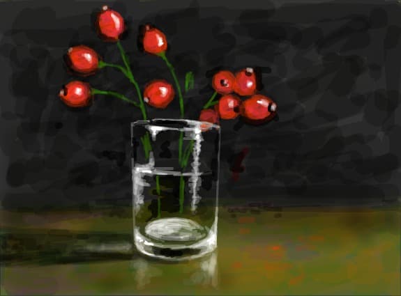 fructe de maciese