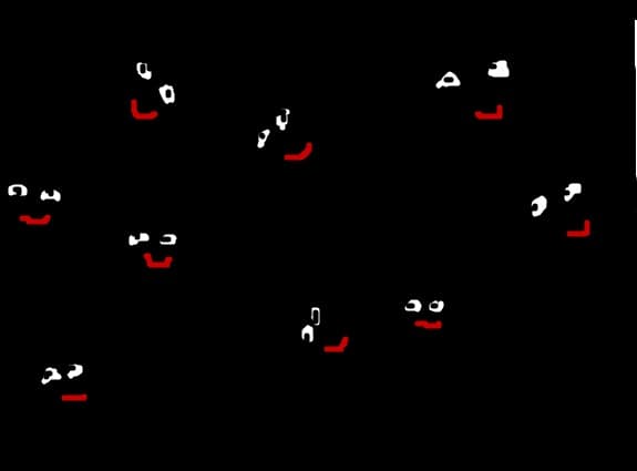 stelele sunt vii