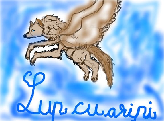 lupul-inaripat
