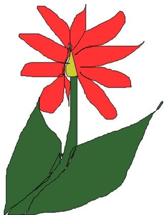 o floare