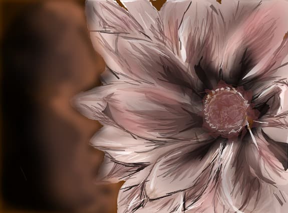 ...floare...:D