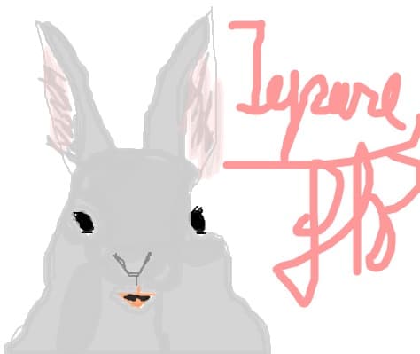 iepure