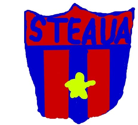 fortza steaua
