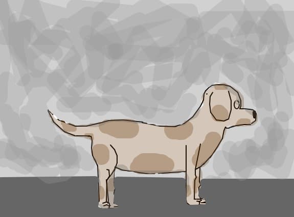 the dog
