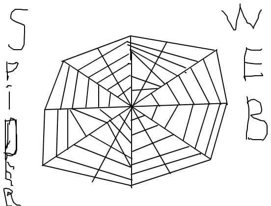 spider-web
