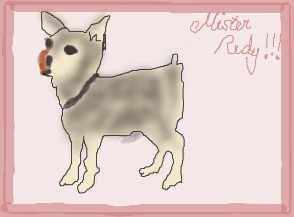 mister redy