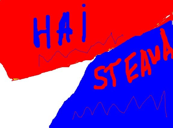 HAI STEAUA!