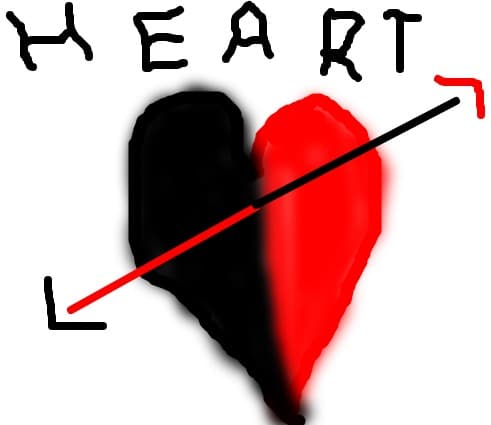 heart