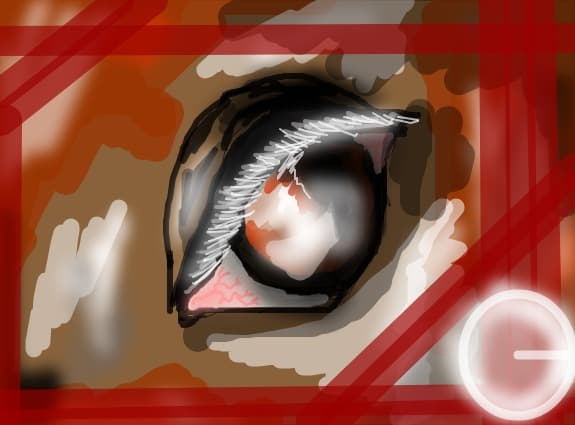 horse eye
