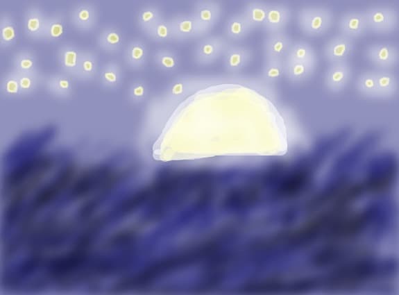The night