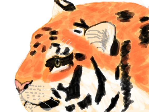 tiger