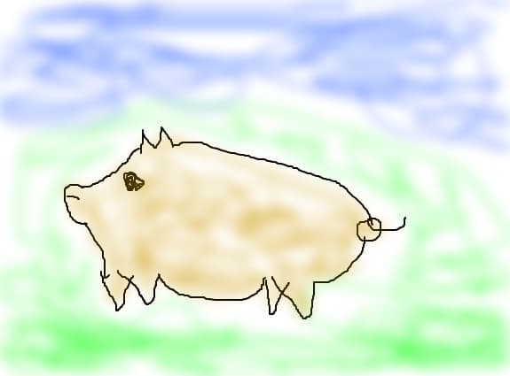porc