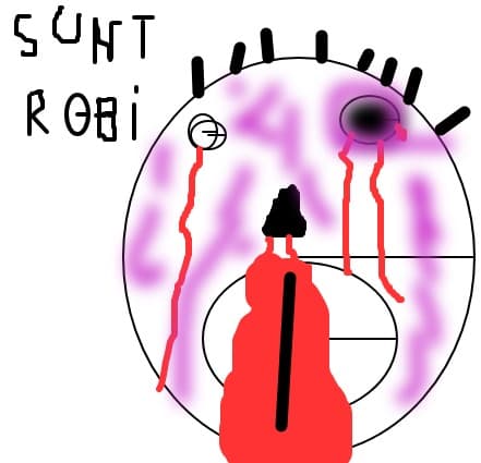 robi