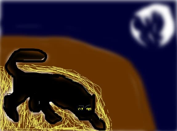 puma