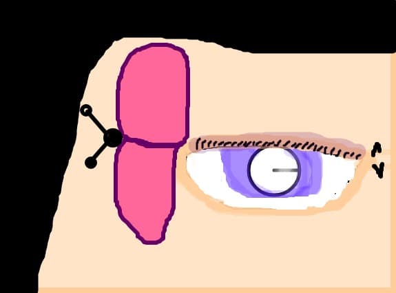 ochiul-fluture