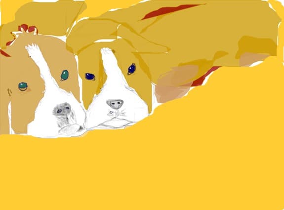 catelushi