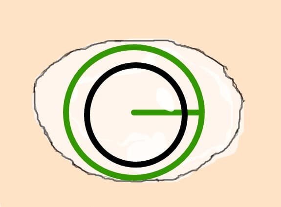 Ochi