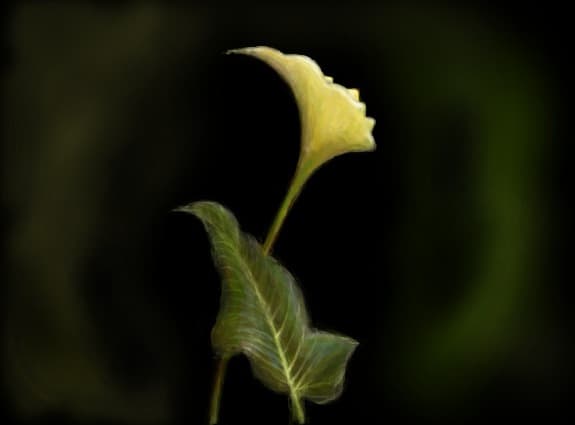 Iluzie...